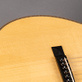 Santa Cruz 00 Eric Skye Cocobolo Adirondack One-Off (2024) Detailphoto 13